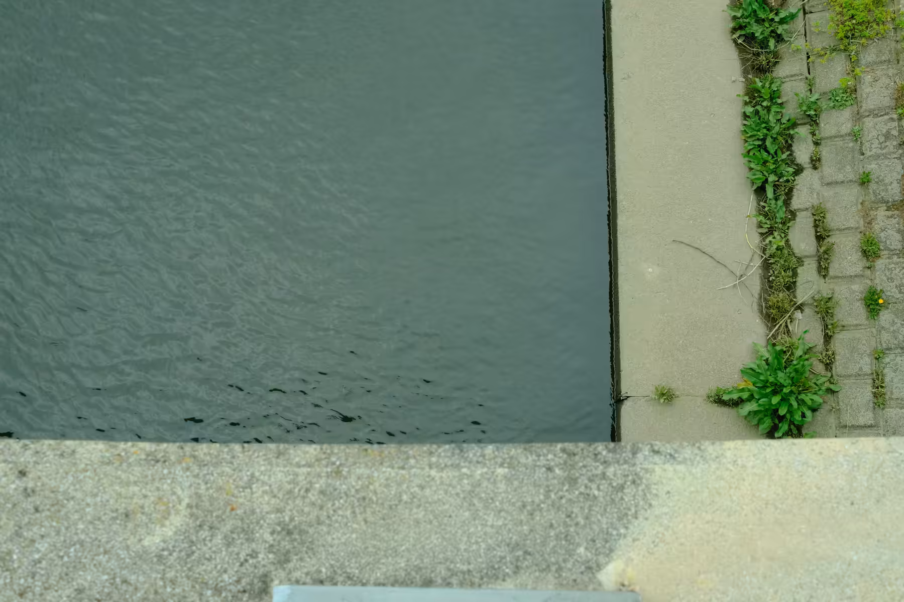 DSCF0254